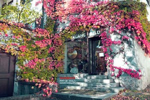 曼城主场大胜，榜首位置稳固无忧