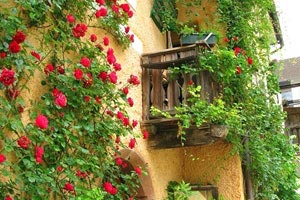 多梅内克主场对阵昂热，争取轮不败——主场的热血与策略