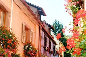 加拿大选手发挥稳定，居功至伟跻身前列