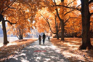 赫塔菲负于皇马，保级形势严峻